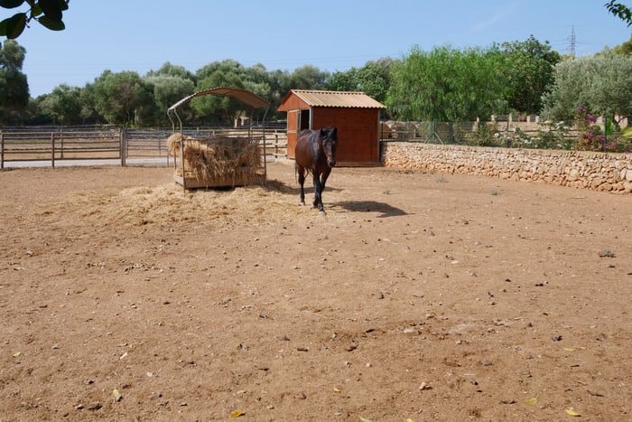 Country house Tort  6 bedrooms, Porto Colom,  Mallorca