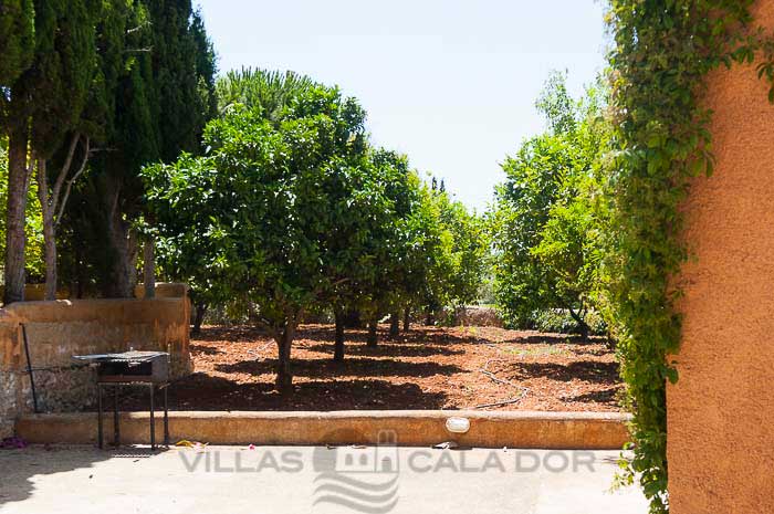 casa de campo para vacaciones con piscina. Mallorca