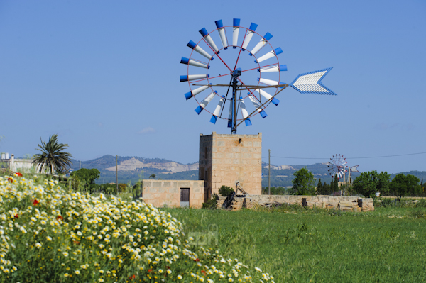 Casa de campo para alquilar en Mallorca 4 dormitorios