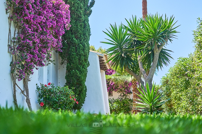 Villa Acebuche, 5 bedrooms, Cala D'Or, Mallorca