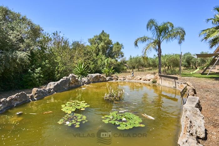 Casa de campo Ailen 3 dormitorios Felanitx, Mallorca Casa de campo Ailen 3 dormitorios Felanitx, Mallorca