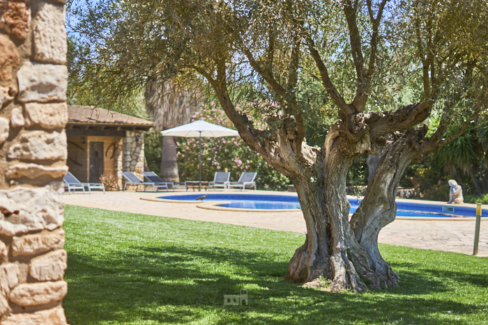 Casa de campo Ailen 3 dormitorios Felanitx, Mallorca Casa de campo Ailen 3 dormitorios Felanitx, Mallorca