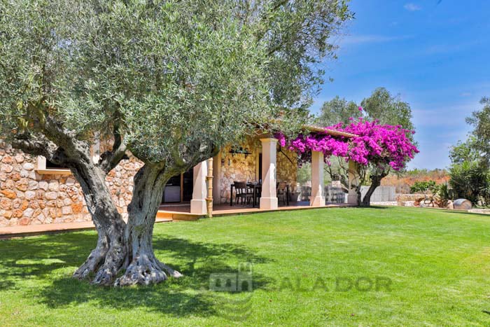 Ferienhaus  Ailen, 3 Schlafzimmer - Felanitx, Mallorca