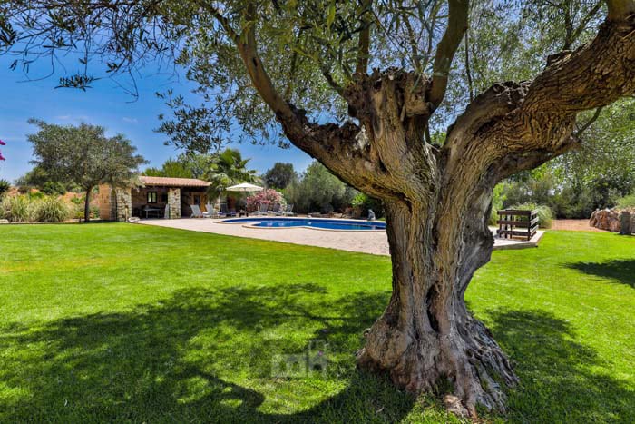 Ferienhaus  Ailen, 3 Schlafzimmer - Felanitx, Mallorca