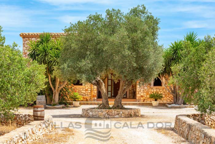 Ferienhaus  Ailen, 3 Schlafzimmer - Felanitx, Mallorca