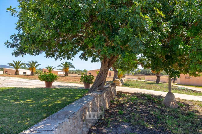 Country house  Salom Verd 2 bedrooms , Es Llombards Santanyi,, Santanyi, Mallorca