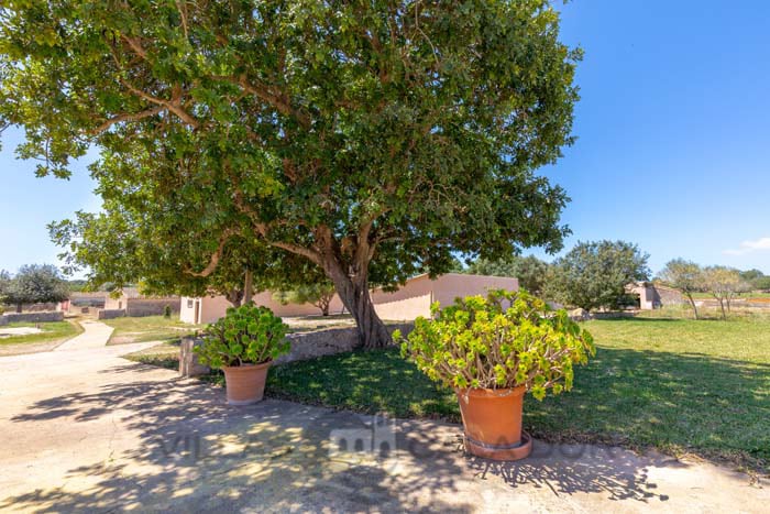 Casa Salom Verd, 2 dormitorios, Es Llombards, Santanyi , Mallorca