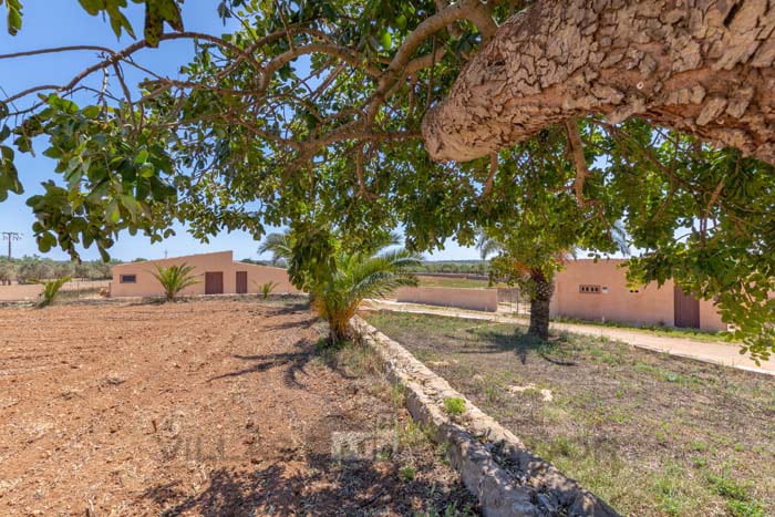 Country house  Salom Verd 2 bedrooms , Es Llombards Santanyi,, Santanyi, Mallorca