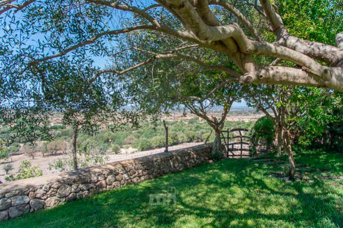 Ferienhaus auf dem Land - Pujol den Miquel