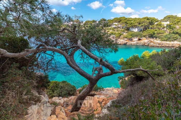 ferienhaus egos 89 cala Dor mallorca