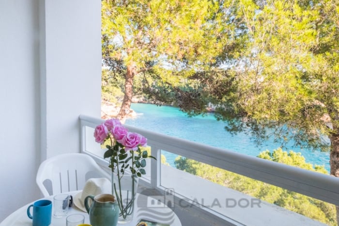 apartamento ferrera park 306  Cala Dor