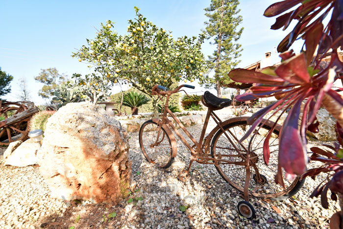 Finca zu mieten auf Mallorca - Hort De Sa Barrala