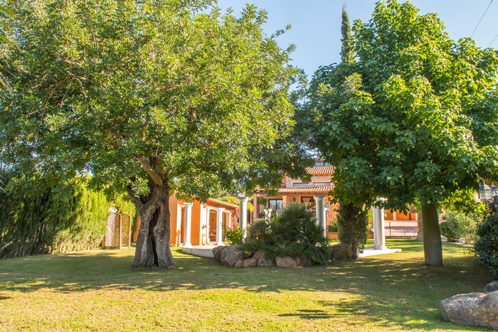 Finca zu mieten  Alzina in Bunyol5, Mallorca 4 Schlafzimmer