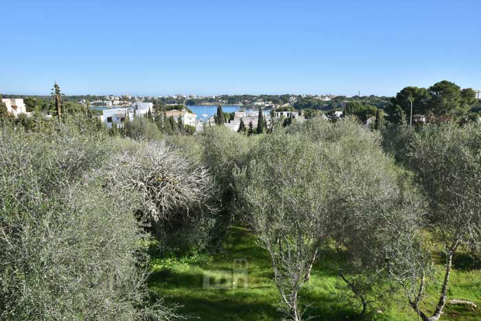 Ferienhaus Corso - in Porto Colom zu mieten Mallorca 3 Schlafzimmer