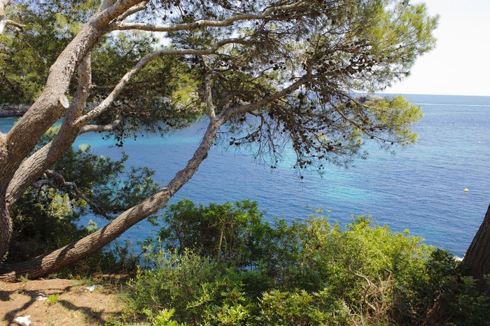 Apartment Ferrera Park 507, 3 bedrooms, Cala Ferrera, Cala Dor, Mallorca,