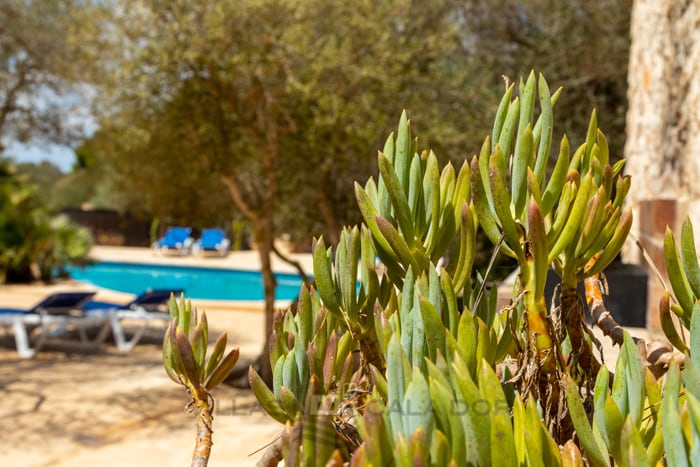 Ferienhaus am Meer Salmonia in Cala s'Almonia, Santanyi