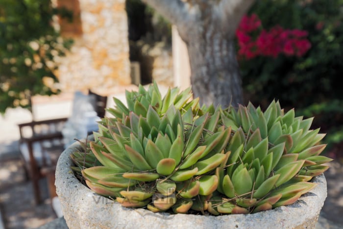 Country house Andreu 2 bedrooms in Es Llombards Santanyi,, Santanyi, Mallorca