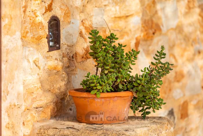 Country house Serral Petit 2 bedrooms, Es Llombards Santanyi, Santanyi, Mallorca