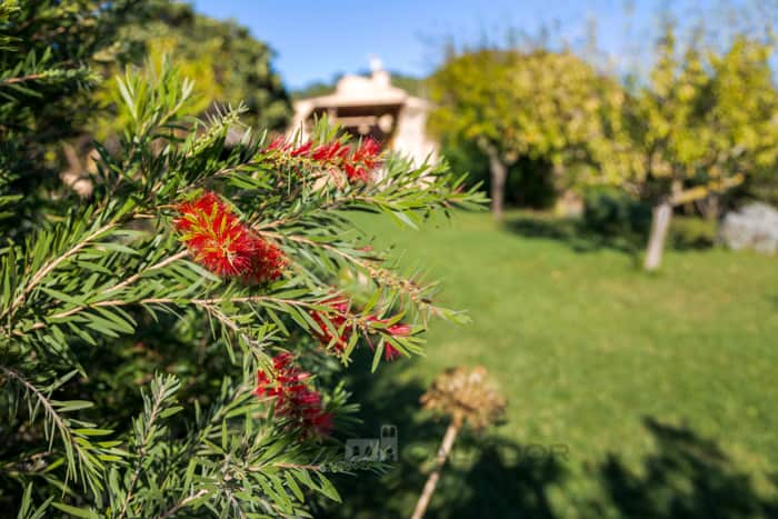 Country house Fontanet Binifarda 3 bedrooms in Felanitx Mallorca