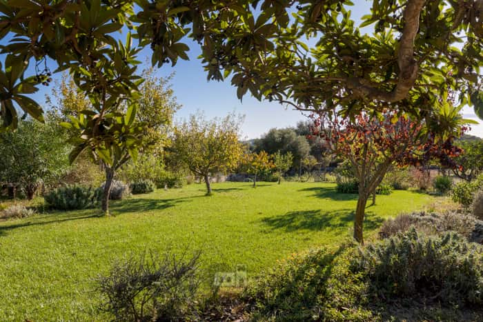 Country house Fontanet Binifarda 3 bedrooms in Felanitx Mallorca