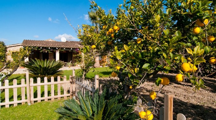 Casa Padre- Son Servera- Mallorca