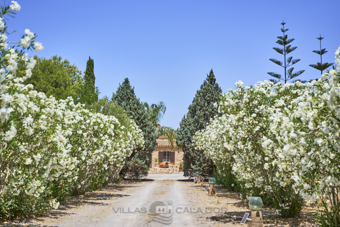 casa de campo Banc d.Oli,  6 personas -Manacor - Mallorca